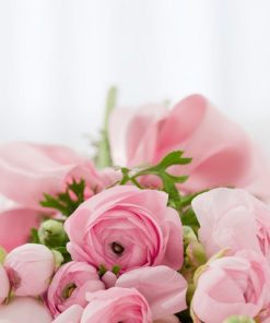 Aranžmani za sve prilike